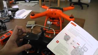 Still from Wingsland Scarlet Minivet Unboxing and Review