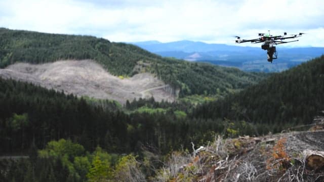 Still from Tree-planting drones to speed up reforestation efforts