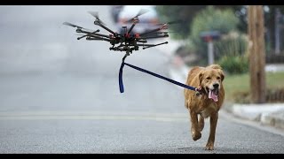 Still from DOGS VS DRONES COMPILATION. December 2016.